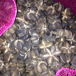 ชาเปลือกดาวอินคา