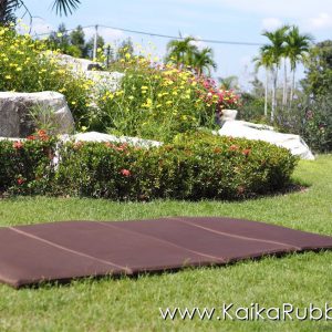 ที่นอนปิกนิกยางพารา รุ่น L - สีน้ำตาล ผ้ากันน้ำ กันไรฝุ่น