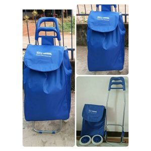 รถเข็นเอนกประสงค์