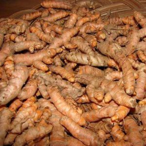 ขมิ้นชันแดงสยาม